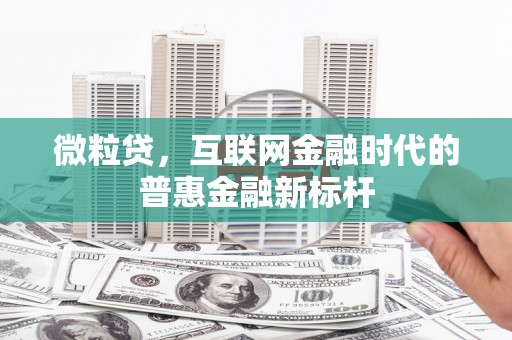 海盐微粒贷，互联网金融时代的普惠金融新标杆