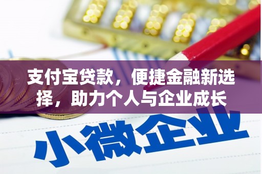 海盐支付宝贷款，便捷金融新选择，助力个人与企业成长