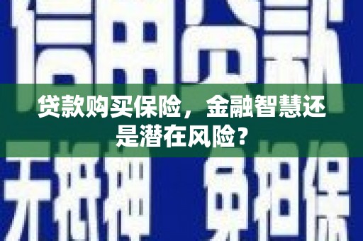 海盐贷款购买保险，金融智慧还是潜在风险？