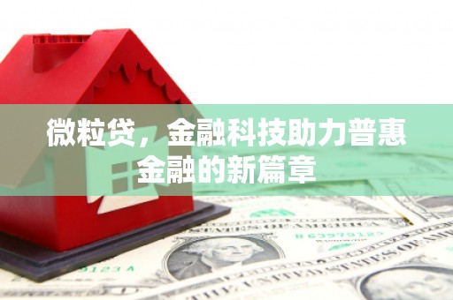 海盐微粒贷，金融科技助力普惠金融的新篇章
