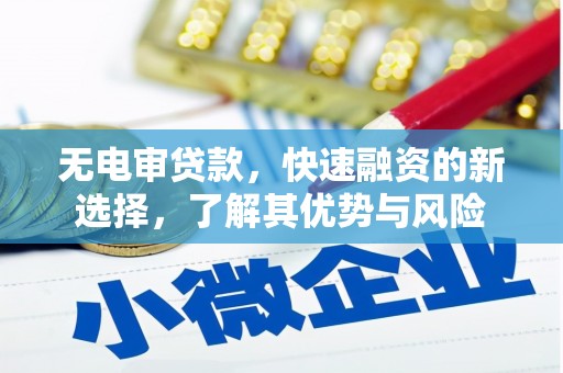 海盐无电审贷款，快速融资的新选择，了解其优势与风险