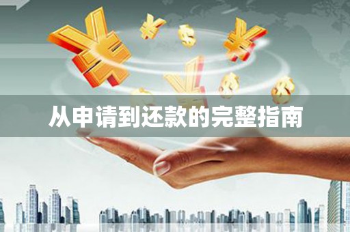 海盐从申请到还款的完整指南