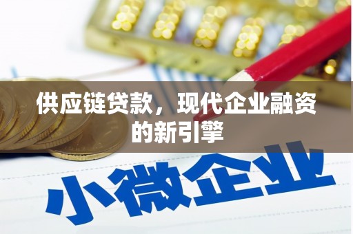 海盐供应链贷款，现代企业融资的新引擎