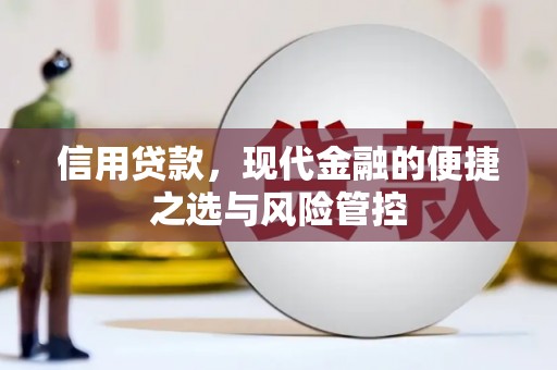 海盐信用贷款，现代金融的便捷之选与风险管控