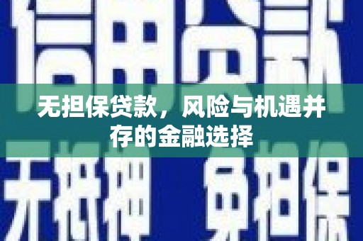 海盐无担保贷款，风险与机遇并存的金融选择