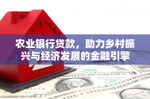 海盐农业银行贷款，助力乡村振兴与经济发展的金融引擎