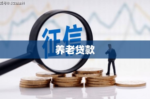 海盐养老贷款