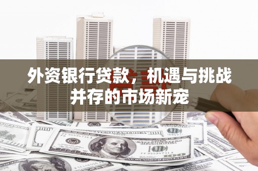 海盐外资银行贷款，机遇与挑战并存的市场新宠