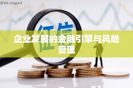 海盐企业发展的金融引擎与风险管理