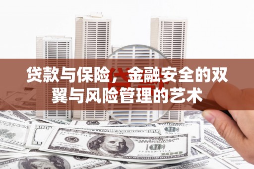 海盐贷款与保险，金融安全的双翼与风险管理的艺术