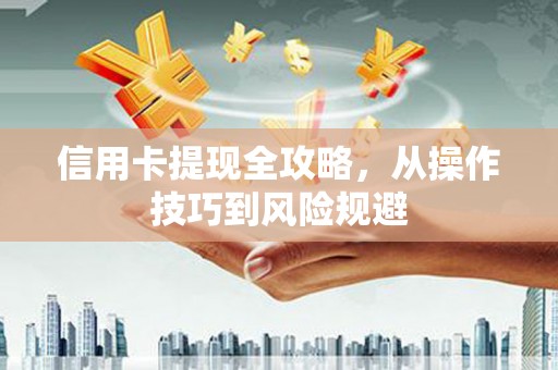 海盐信用卡提现全攻略，从操作技巧到风险规避