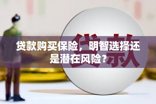 海盐贷款购买保险，明智选择还是潜在风险？