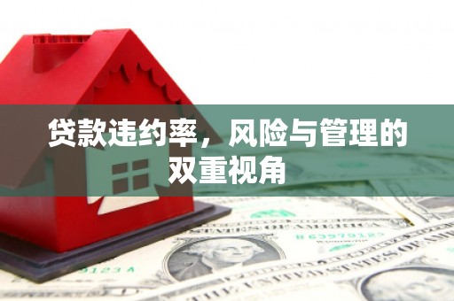 海盐贷款违约率，风险与管理的双重视角