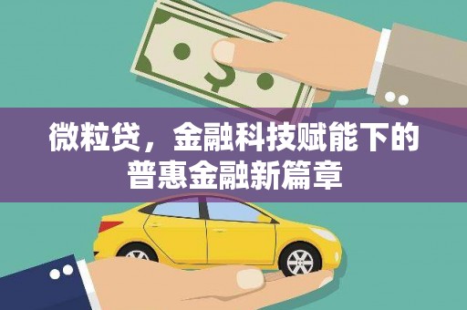 海盐微粒贷，金融科技赋能下的普惠金融新篇章