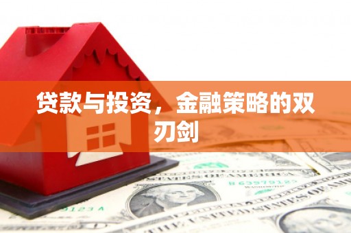 海盐贷款与投资，金融策略的双刃剑
