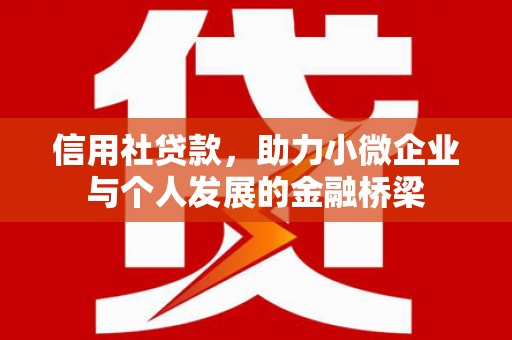 海盐信用社贷款，助力小微企业与个人发展的金融桥梁