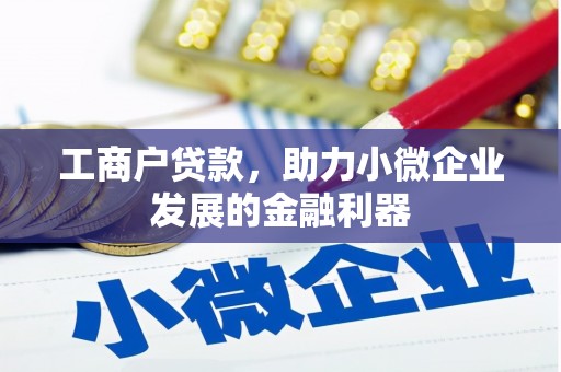 海盐工商户贷款，助力小微企业发展的金融利器