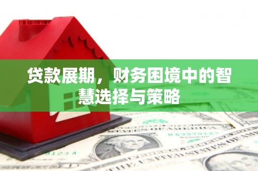 海盐贷款展期，财务困境中的智慧选择与策略