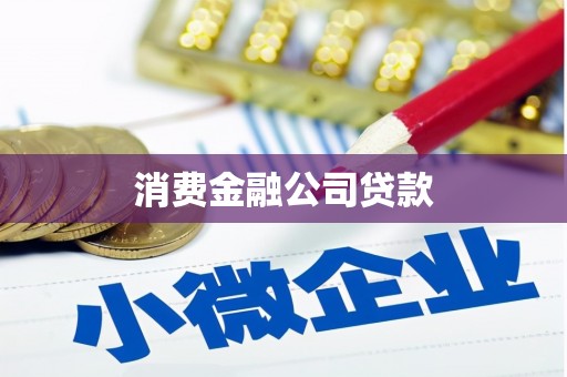 海盐消费金融公司贷款