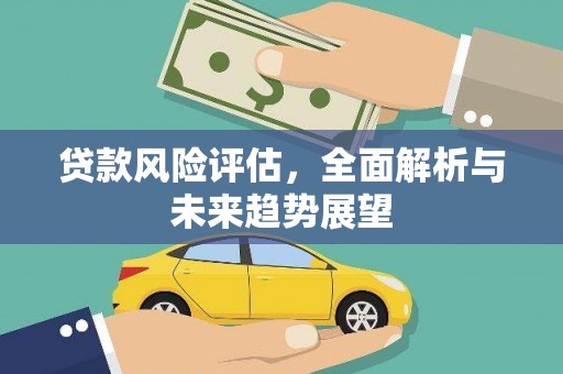 海盐贷款风险评估，全面解析与未来趋势展望