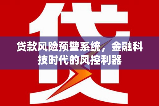 海盐贷款风险预警系统，金融科技时代的风控利器