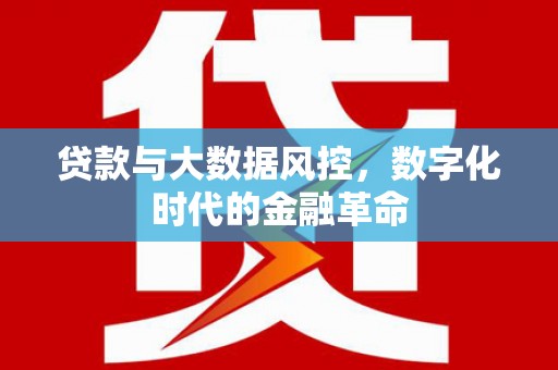 海盐贷款与大数据风控，数字化时代的金融革命