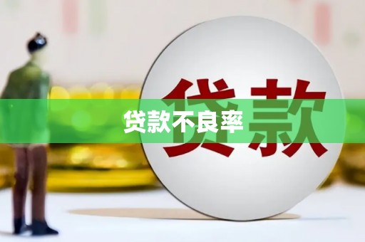 海盐贷款不良率