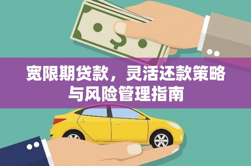 海盐宽限期贷款，灵活还款策略与风险管理指南