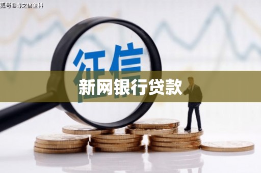 海盐新网银行贷款