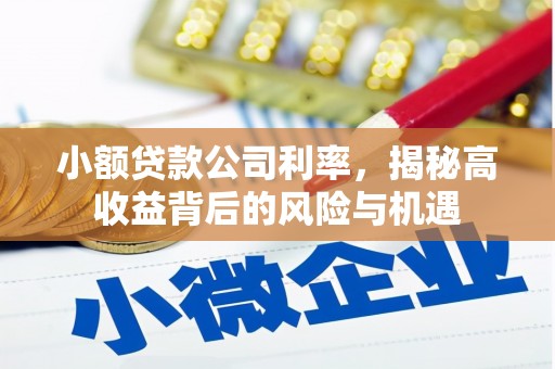 海盐小额贷款公司利率，揭秘高收益背后的风险与机遇