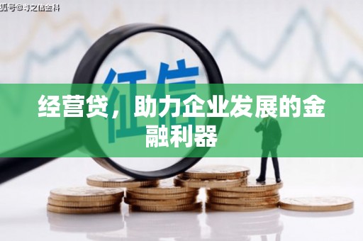 海盐经营贷，助力企业发展的金融利器