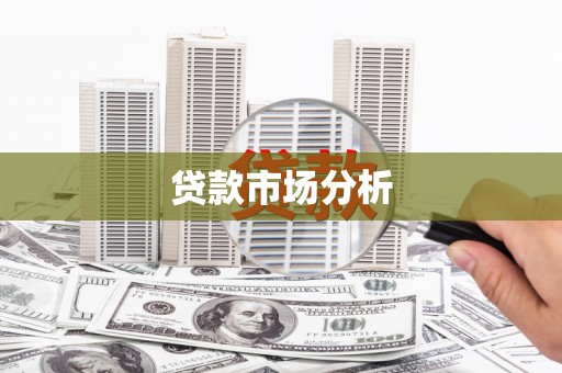 海盐贷款市场分析