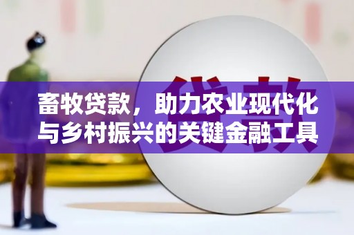 海盐畜牧贷款，助力农业现代化与乡村振兴的关键金融工具