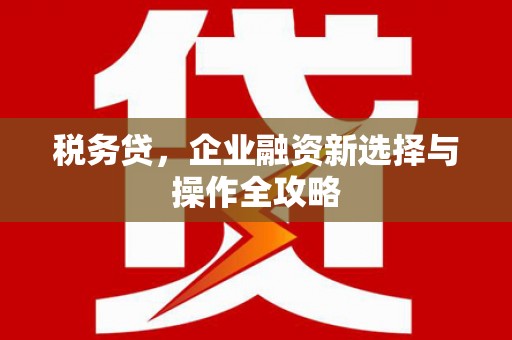 海盐税务贷，企业融资新选择与操作全攻略