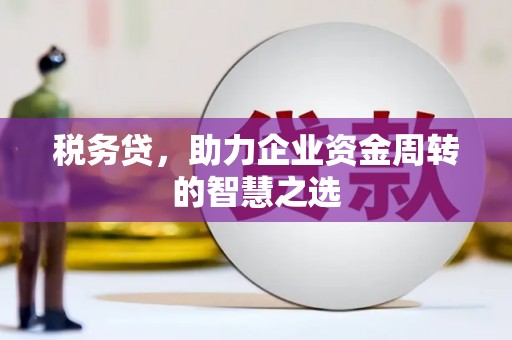 海盐税务贷，助力企业资金周转的智慧之选