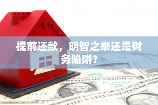 海盐提前还款，明智之举还是财务陷阱？