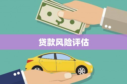 海盐贷款风险评估