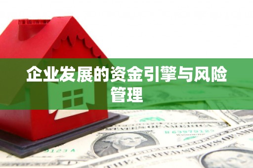海盐企业发展的资金引擎与风险管理
