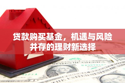 海盐贷款购买基金，机遇与风险并存的理财新选择
