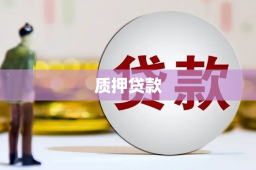 海盐质押贷款