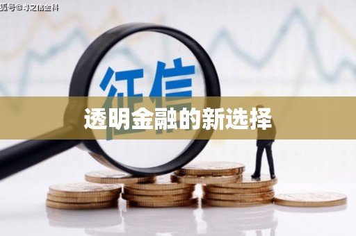 海盐透明金融的新选择