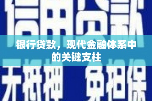 海盐银行贷款，现代金融体系中的关键支柱