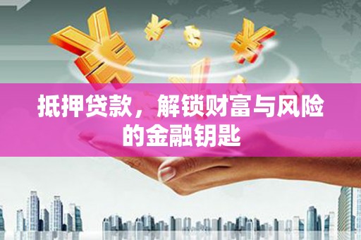 海盐抵押贷款，解锁财富与风险的金融钥匙