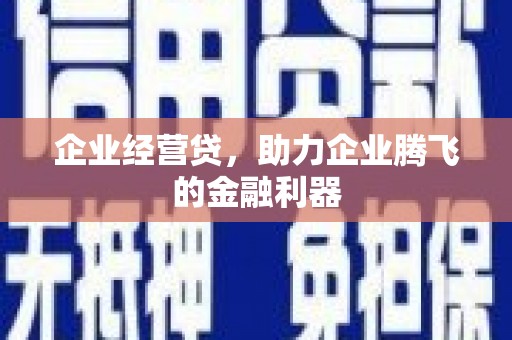海盐企业经营贷，助力企业腾飞的金融利器