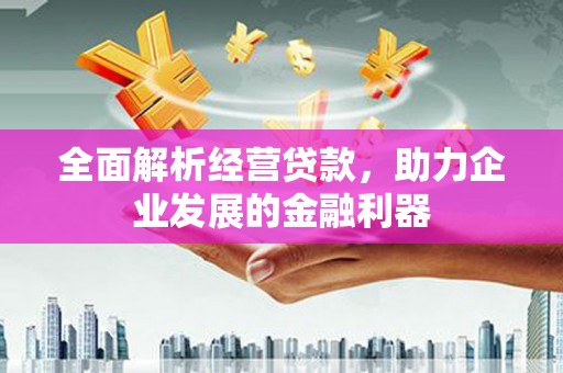 海盐全面解析经营贷款，助力企业发展的金融利器