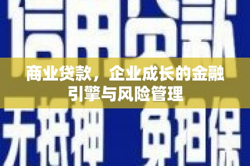 海盐商业贷款，企业成长的金融引擎与风险管理