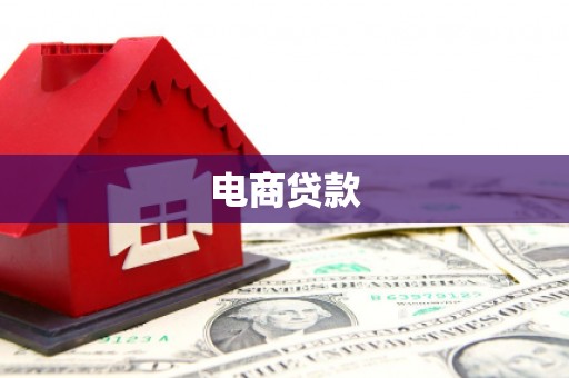 海盐电商贷款