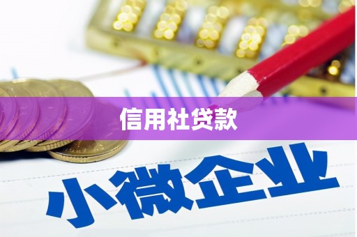 海盐信用社贷款