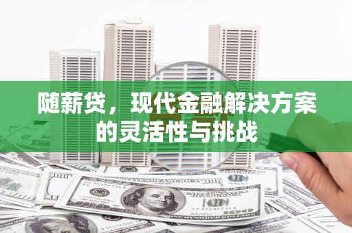 海盐随薪贷，现代金融解决方案的灵活性与挑战
