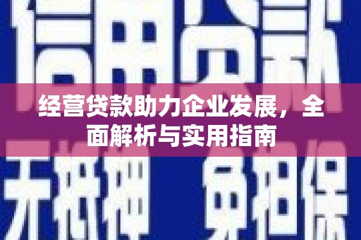 海盐经营贷款助力企业发展，全面解析与实用指南